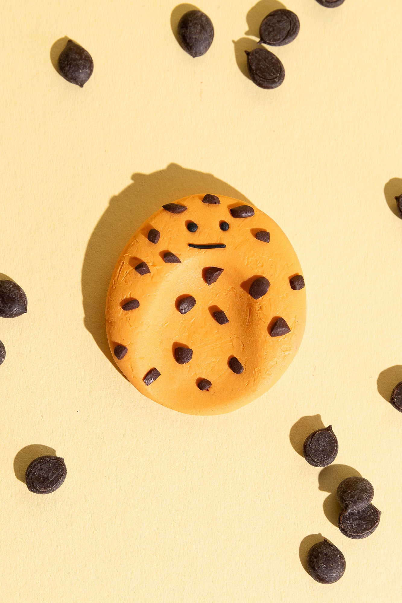 Chocolate Chip Cookie Sorgenstein