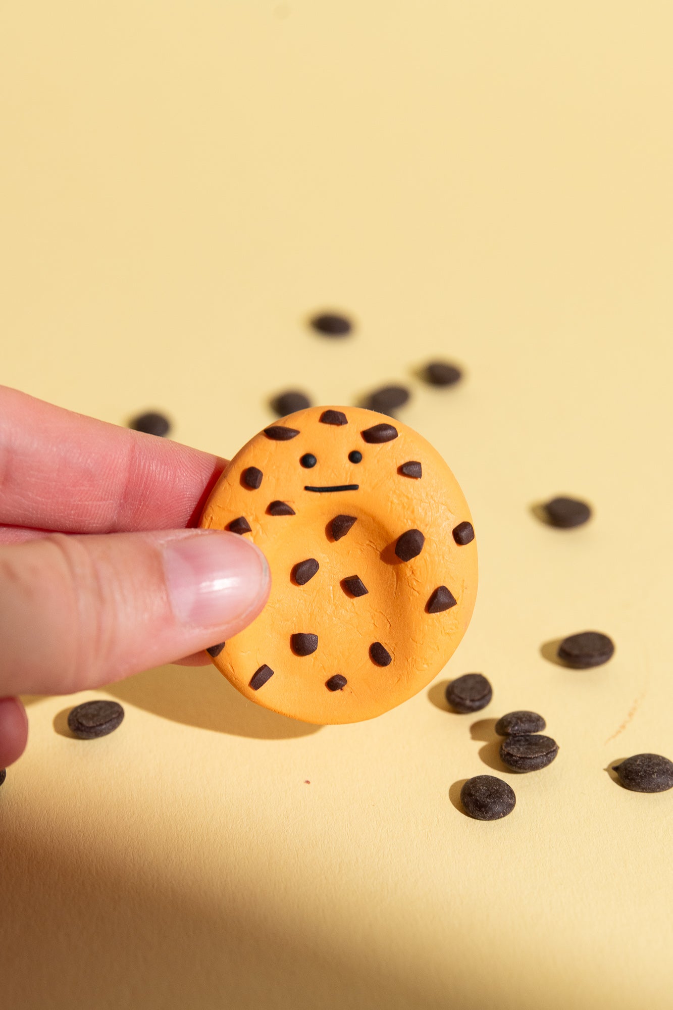 Chocolate Chip Cookie Sorgenstein