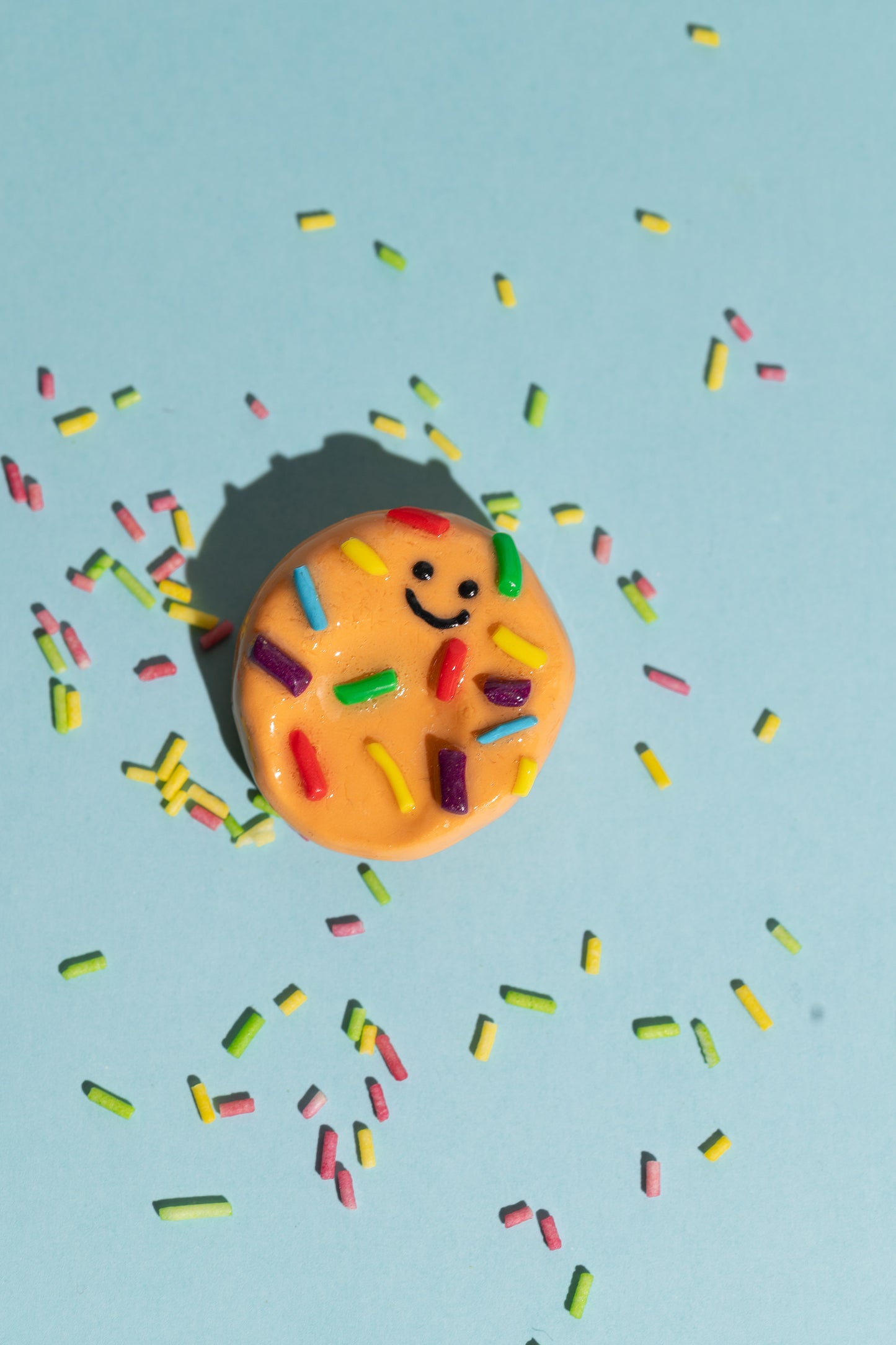 Fidget Toy Sprinkle Cookie Sorgenstein